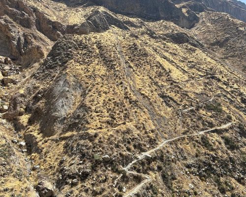 Caminata al Cañón de Colca Tres Días 8