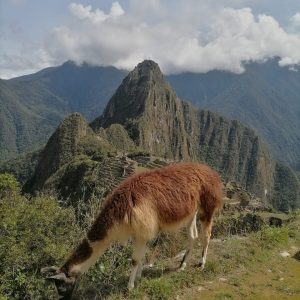 MACHU PICCHU¿ MACHU PICCHU¿