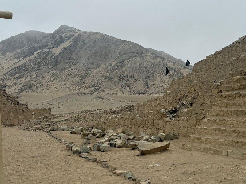 caral 7