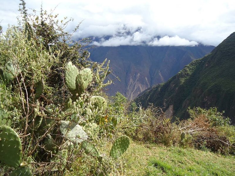 choquequirao 2