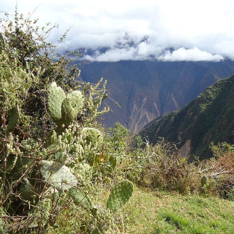 choquequirao 2 choquequirao 2
