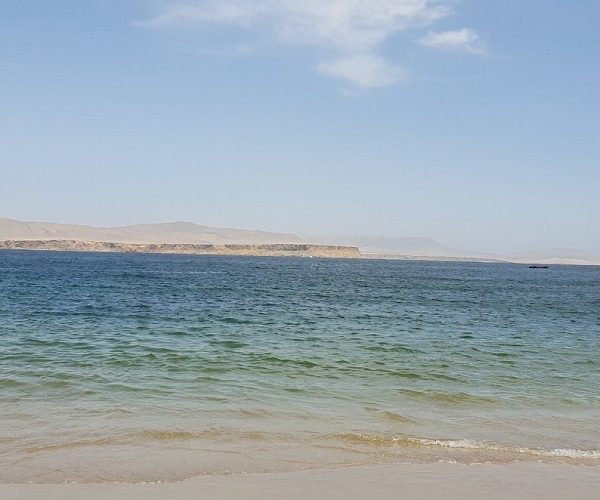 paracas 5